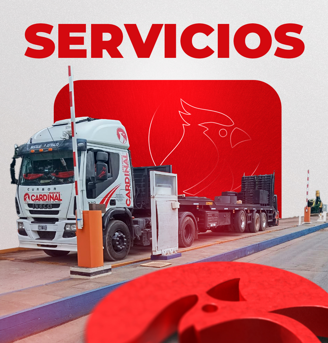 Servicios Cardinal Scale Argentina - balanzas industriales y pesaje profesional